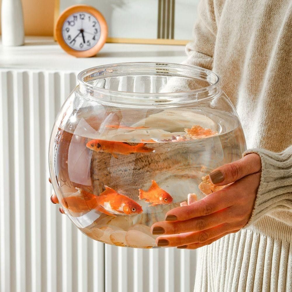 Nuevo pecera transparente redo - Aquarium Fish Names reseña y precio