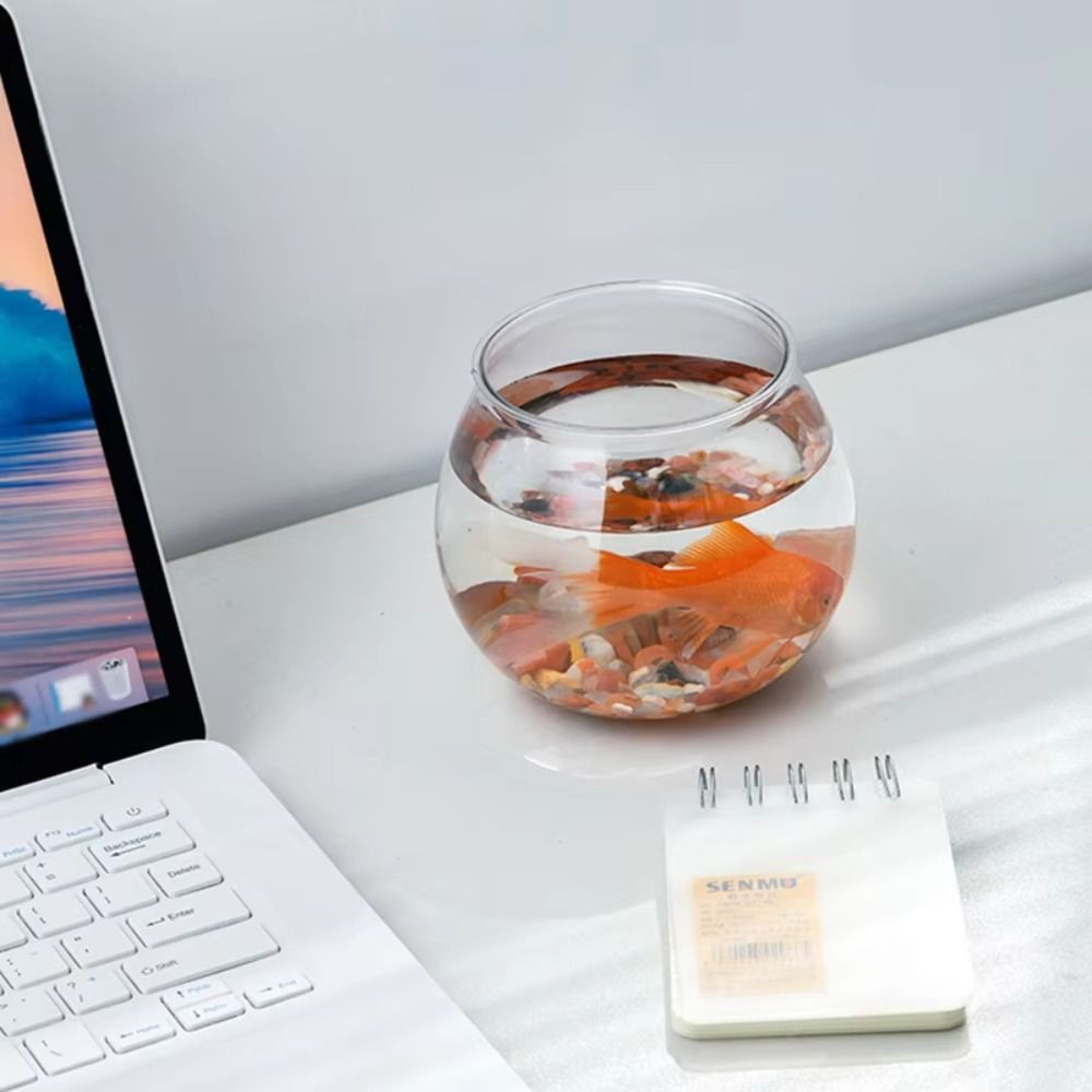 Nuevo pecera transparente redo - Aquarium Fish Names reseña y precio