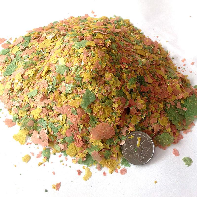 Pez Ornamental, rebanada fina, - Aquarium Fish Rainbow reseña y precio
