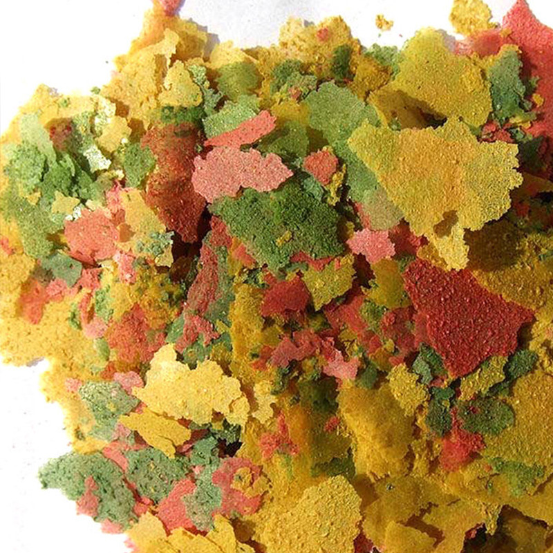 Pez Ornamental, rebanada fina, - Aquarium Fish Rainbow reseña y precio