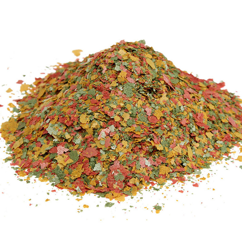 Pez Ornamental, rebanada fina, - Aquarium Fish Rainbow reseña y precio