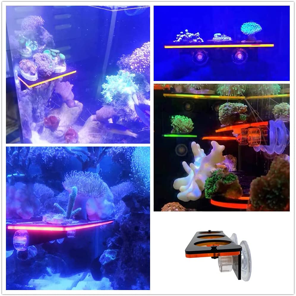 Soporte de enchufe de Coral fl - Aquarium Fish Cartoon reseña y precio