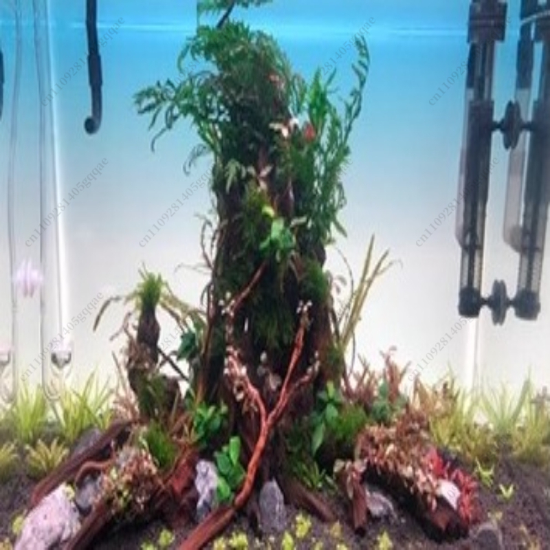 Panel de Fondo para Pecera con - Aquarium Fish Rainbow reseña y precio