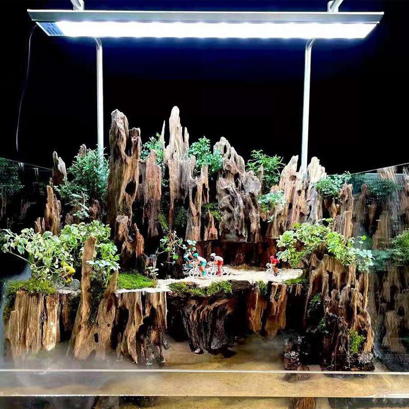 △   Decoración de acuario de m - Aquarium Fish Cartoon reseña y precio