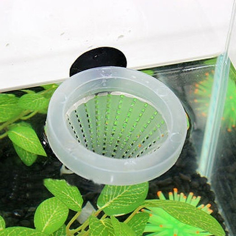 Cono de gusano rojo para acuar - Aquarium Fish Holiday Food reseña y precio