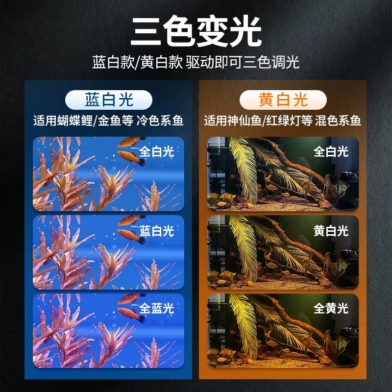 Lámpara Moderna para Acuario,  - Box Fish In Aquarium reseña y precio