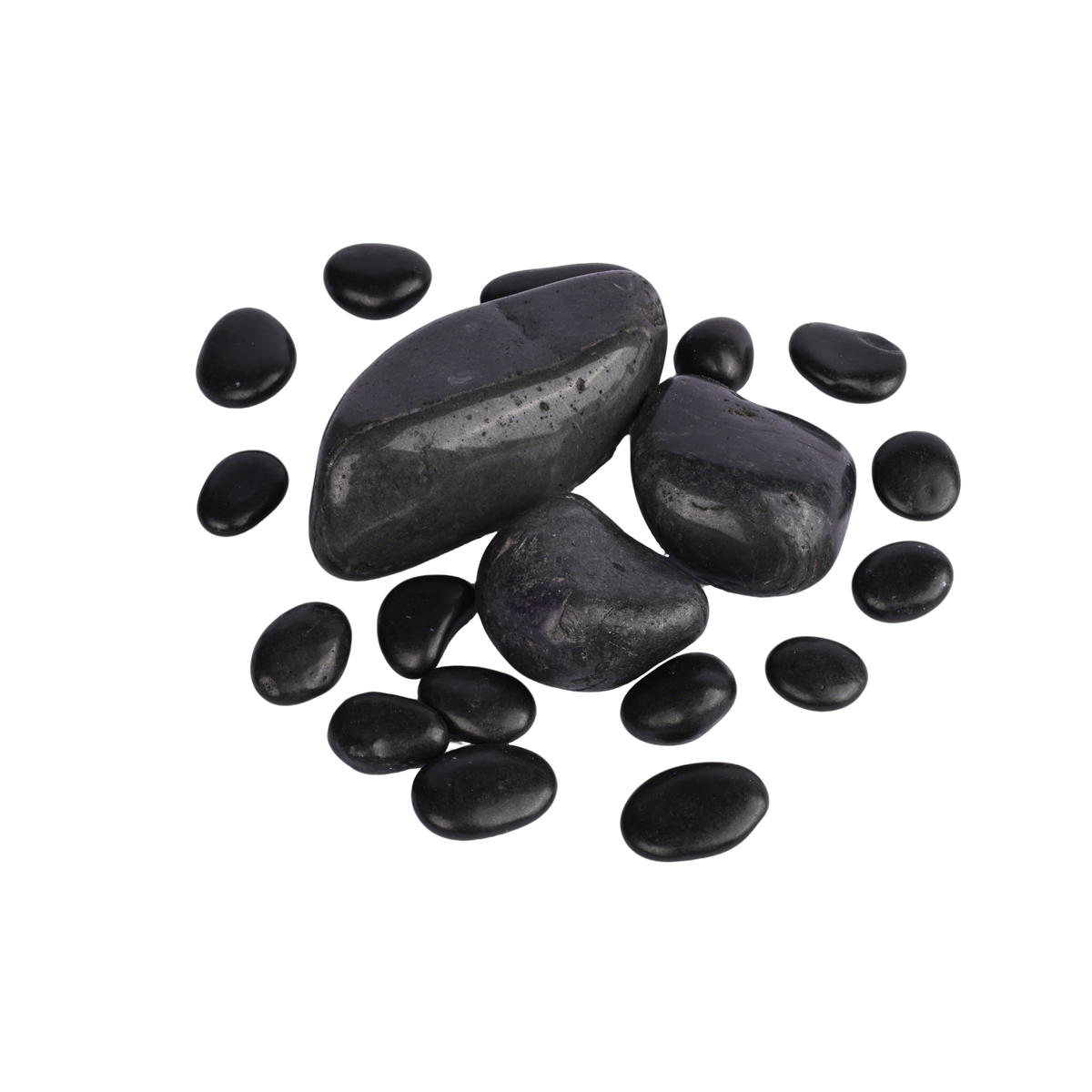 Piedras de Flor de Lluvia Natu - Aquarium Fish Rainbow reseña y precio