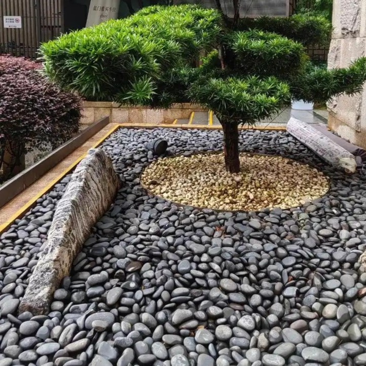 Piedras de Flor de Lluvia Natu - Aquarium Fish Rainbow reseña y precio