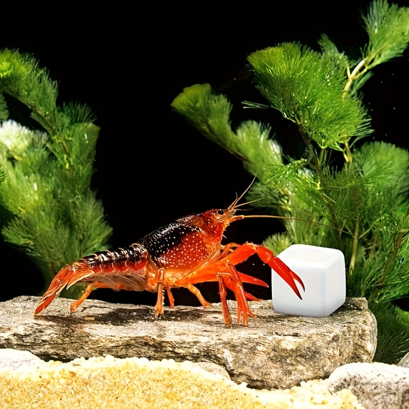 6 unidades de bloques de calci - Aquarium Fish Lego reseña y precio