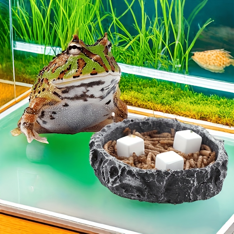 6 unidades de bloques de calci - Aquarium Fish Lego reseña y precio
