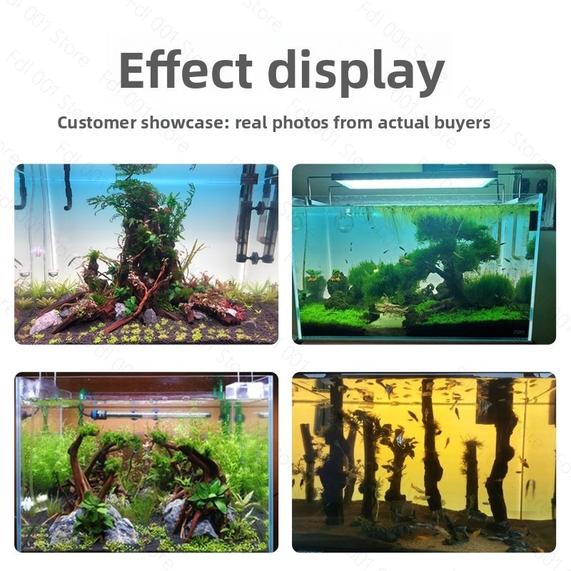 Panel de Fondo para Pecera con - Aquarium Fish Rainbow reseña y precio